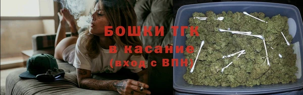 стафф Вяземский