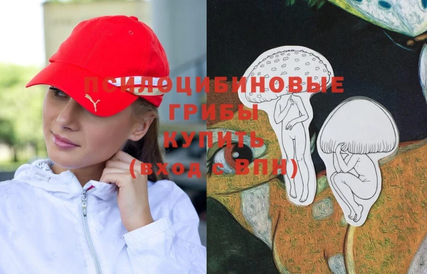 спиды Вязьма