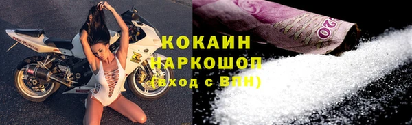 стафф Вяземский