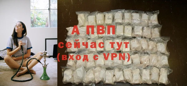 спиды Вязьма