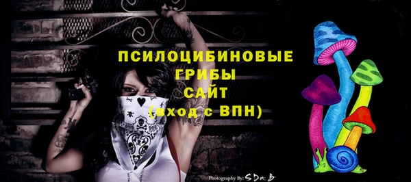 спиды Вязьма